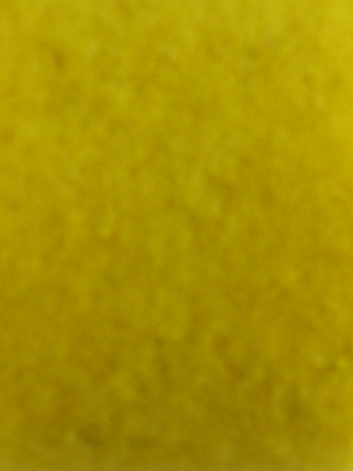 Filz breite 7.5 cm L= 5 m gelb (GE04)